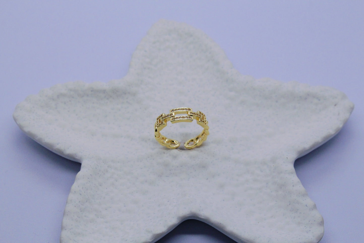 The Double Link Band (Adjustable Size)