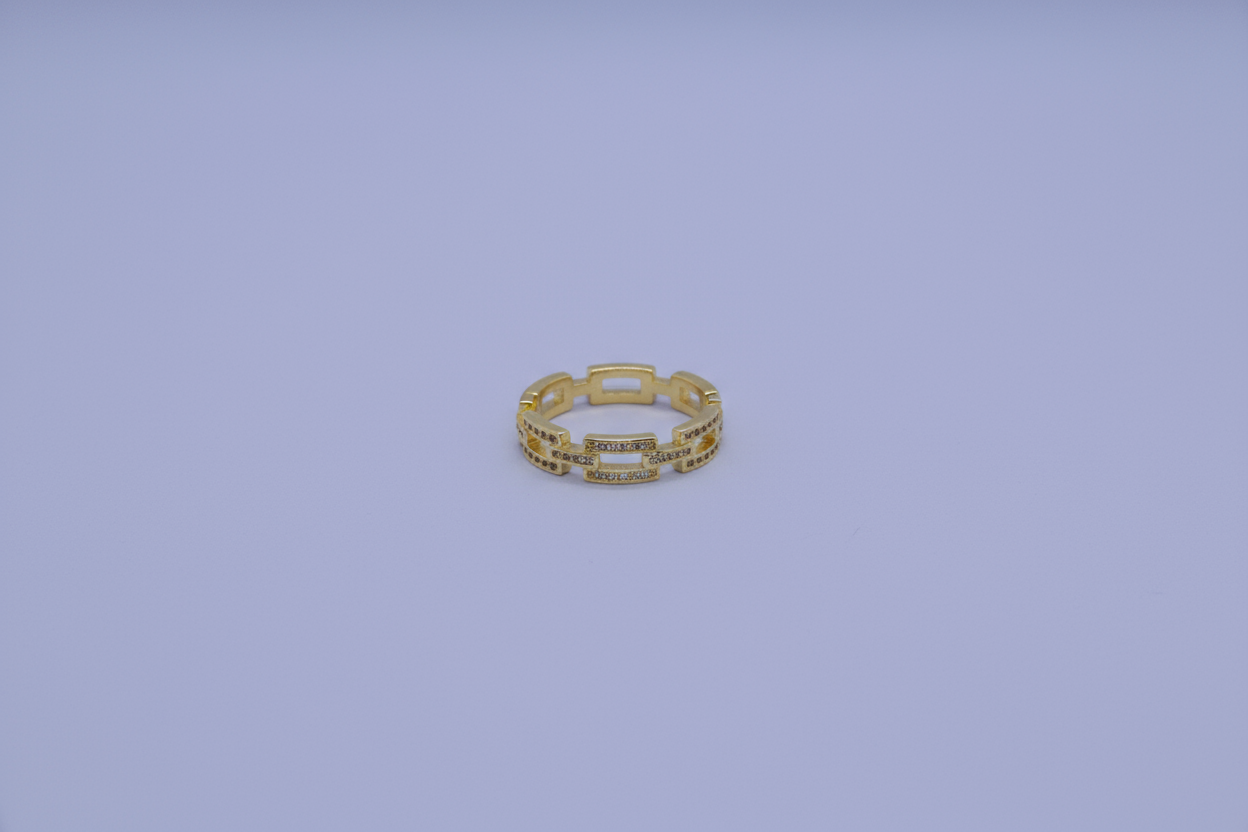 The Double Link Band (Adjustable Size)